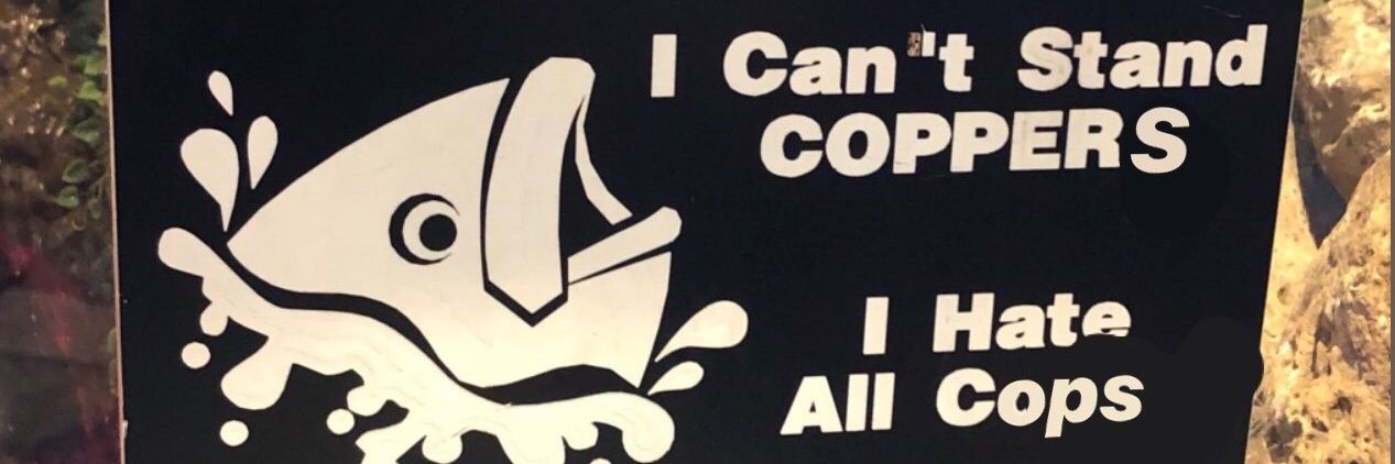 WTFwhoa's profile banner image
