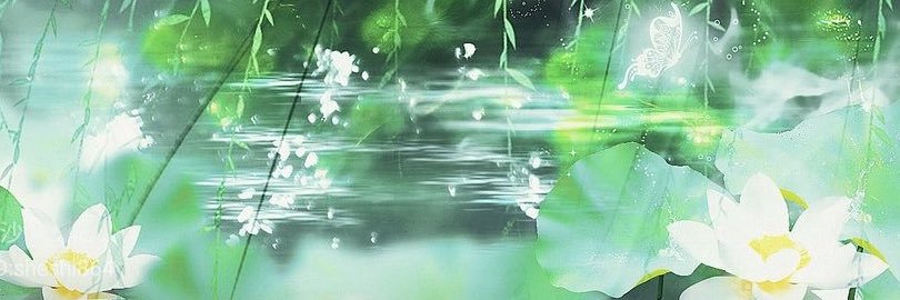 Camellia 🌱's banner