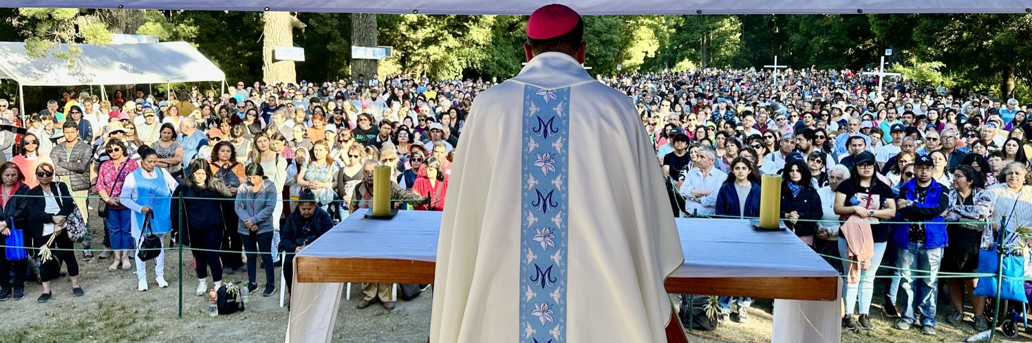 Iglesia de Concepción | Católicos banner
