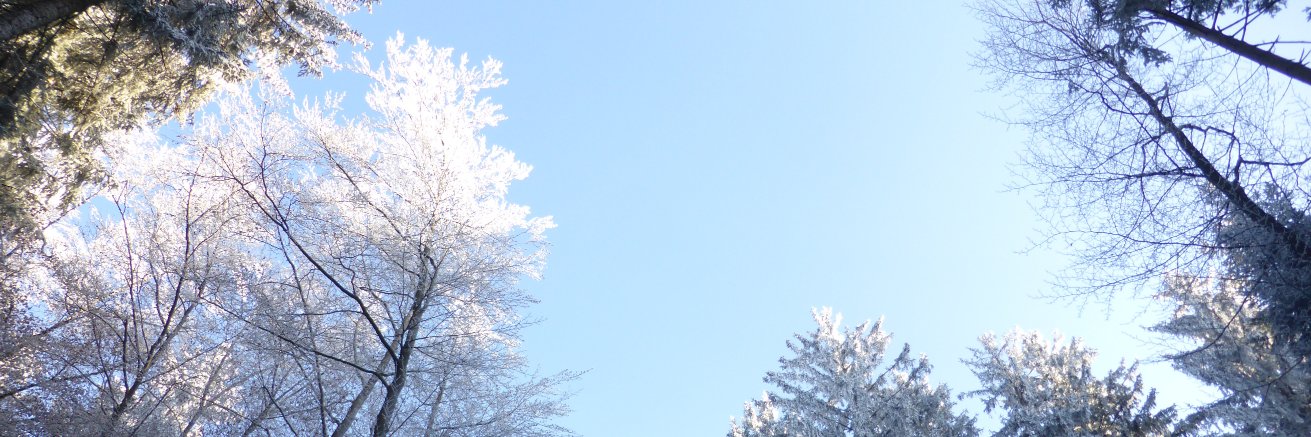 EmCrayon's profile banner image