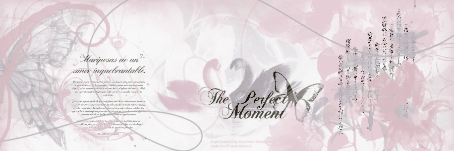 ᅠ ᅠ 𝖺𝗂͟𝗇͟𝗈ᅠ ᅠ banner