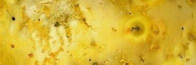 IoElsker's profile banner image