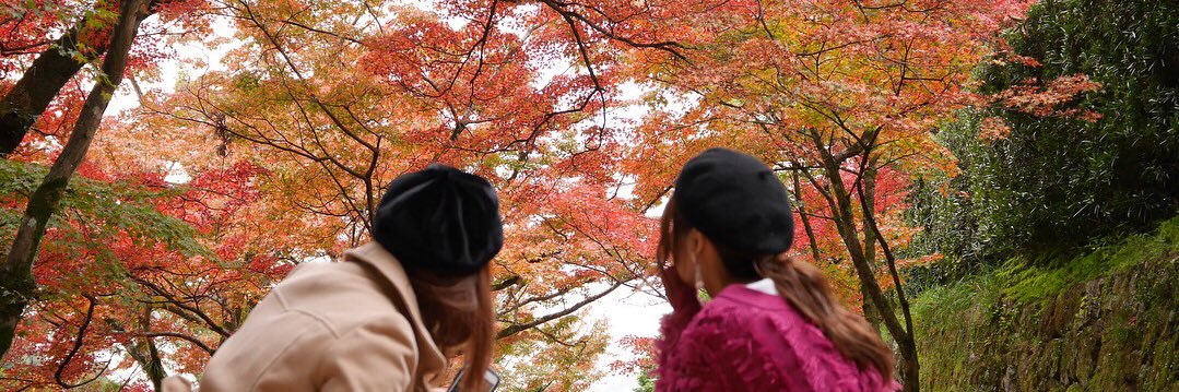 ryeuiunana's profile banner image