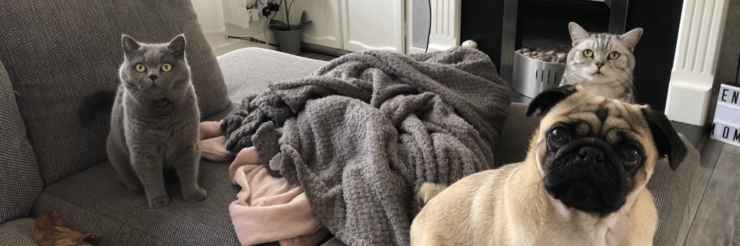 Nattyvic87's profile banner image