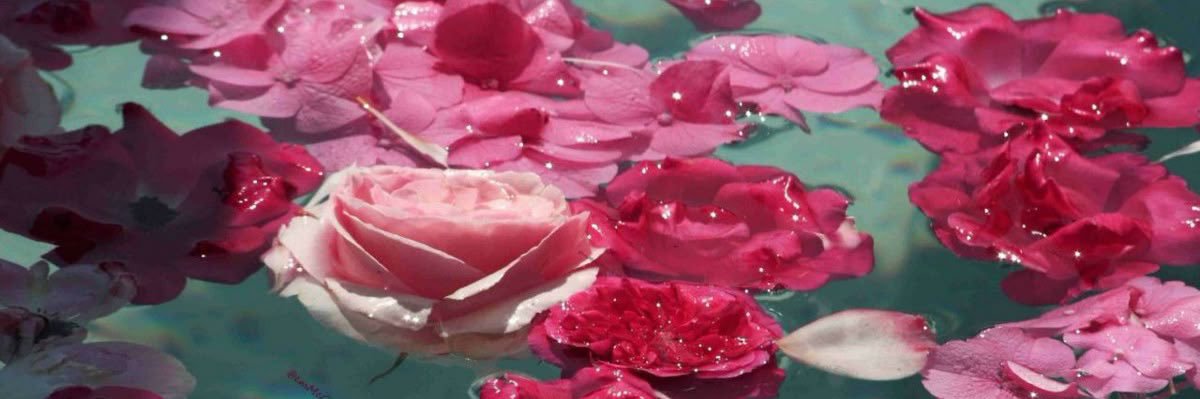 dnaaah__'s profile banner image
