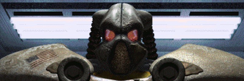 Remigration Enjoyer's banner