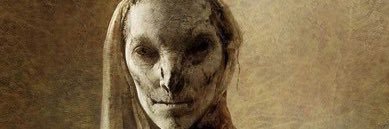 Norskifire's banner