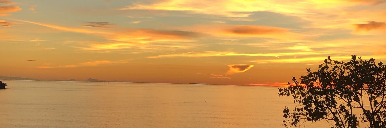 iludla06's profile banner image