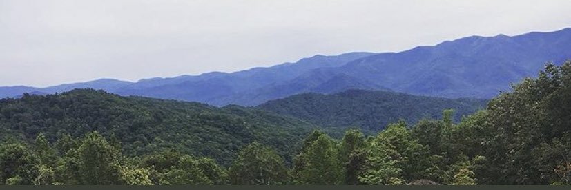 Taylor__Brickey's profile banner image