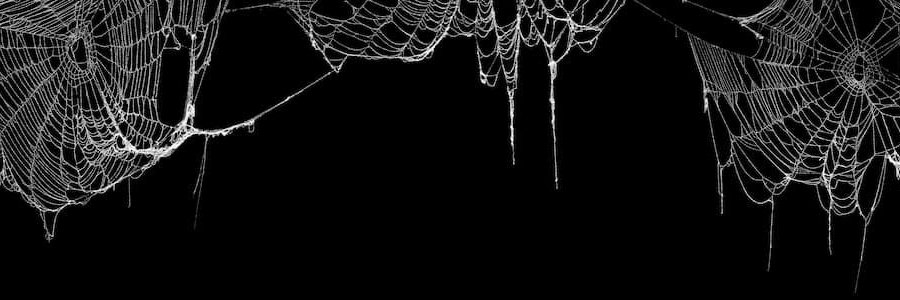 Spider_momm's profile banner image