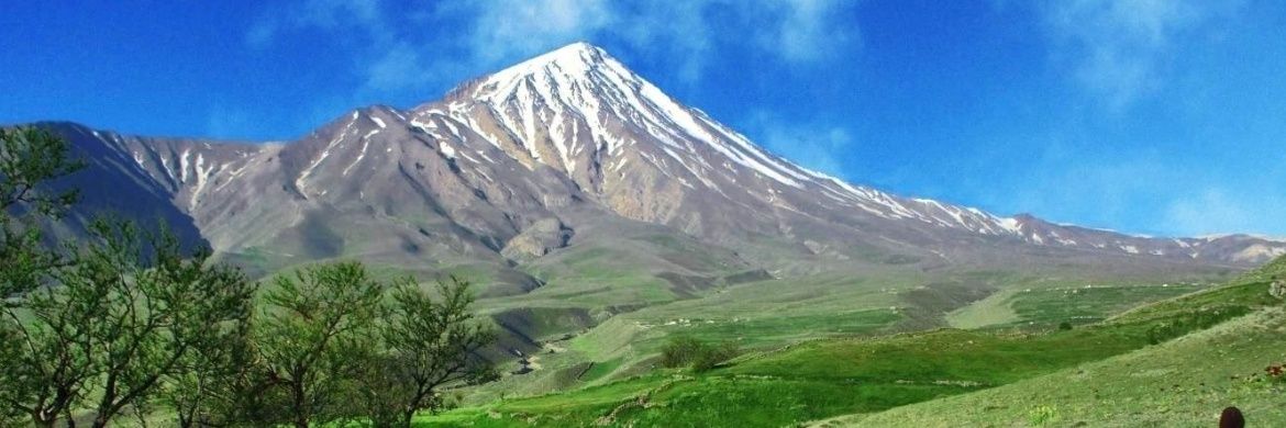 farideh38's profile banner image