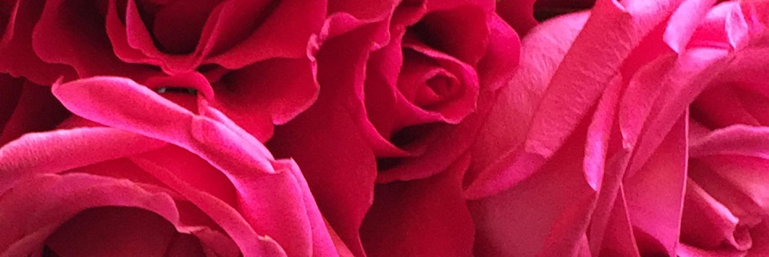 authentrovert's profile banner image