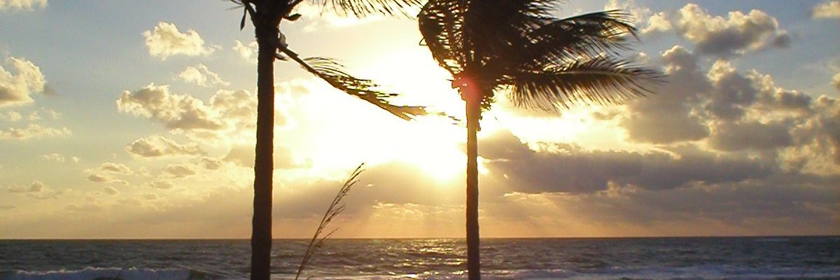 s banner