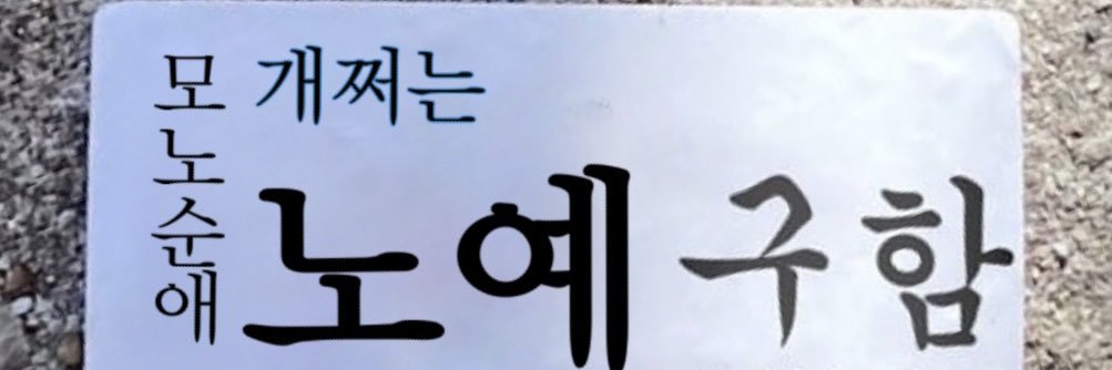 퀸도치 banner
