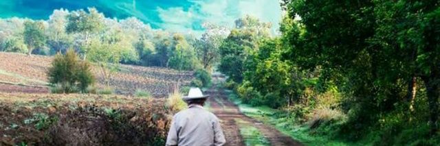 BrunoDemin's profile banner image