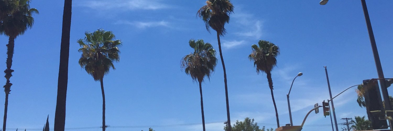 maggnixo's profile banner image