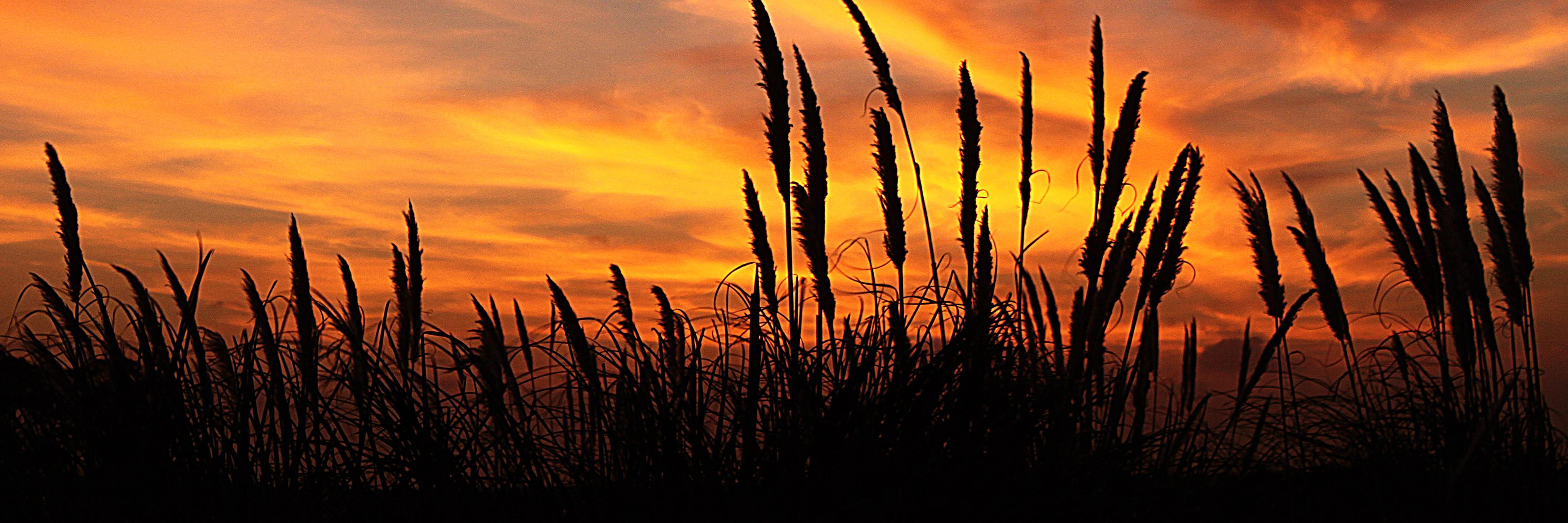 Marcelo Iglesias banner