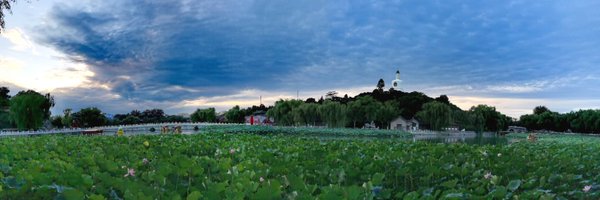 PMaritn57055 Profile Banner