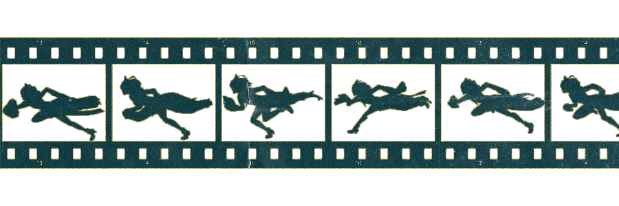 ✼ .⃗ 𝙇𝙄𝙁𝙀 ᴵˢ ᴬᴺ ᴇxᴘᴇʀɪᴍᴇɴᴛ's banner