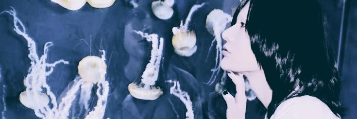 Felizym๋ ࣭ ⭑'s banner