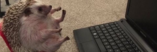 joeyconwayy Profile Banner