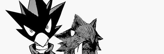 AcezRan banner