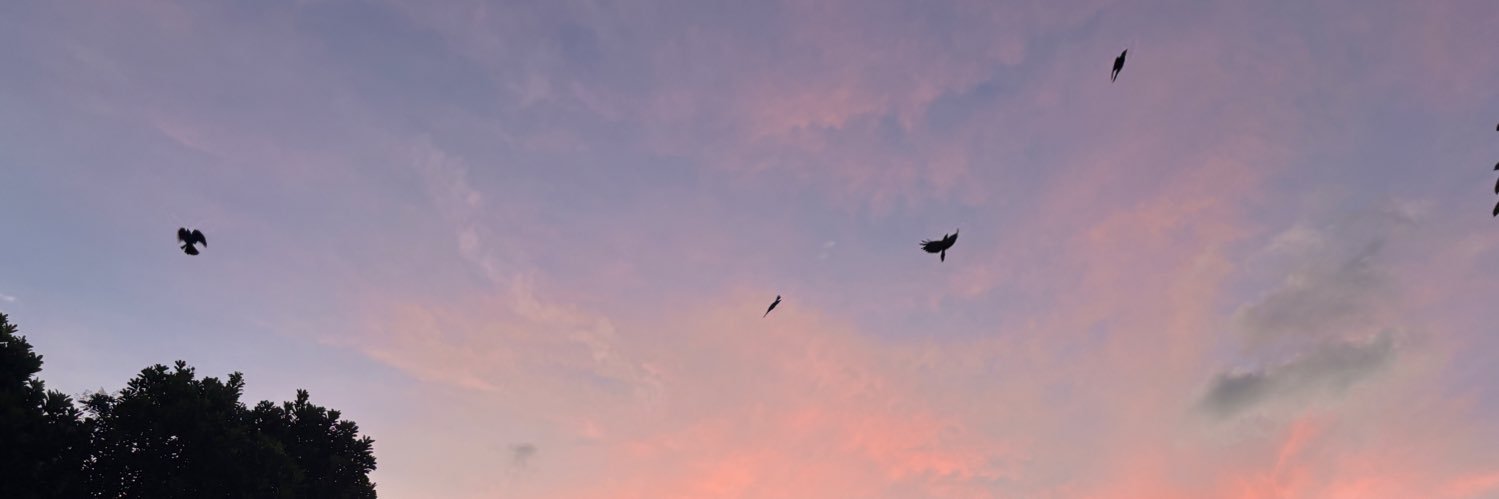 链上散财童子·eth🇸🇬 banner