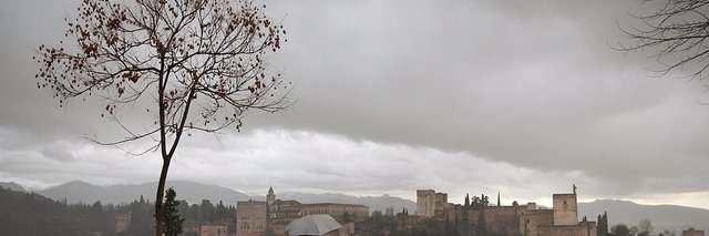 fatma gümüş banner