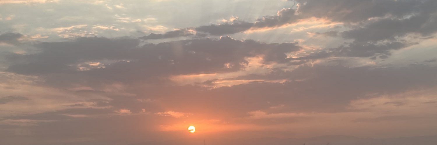 laynestaleyyy1's profile banner image