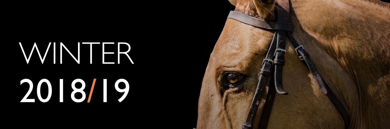 MHF Polo school banner