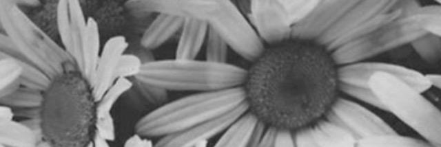 YoGrandDaddy96's profile banner image