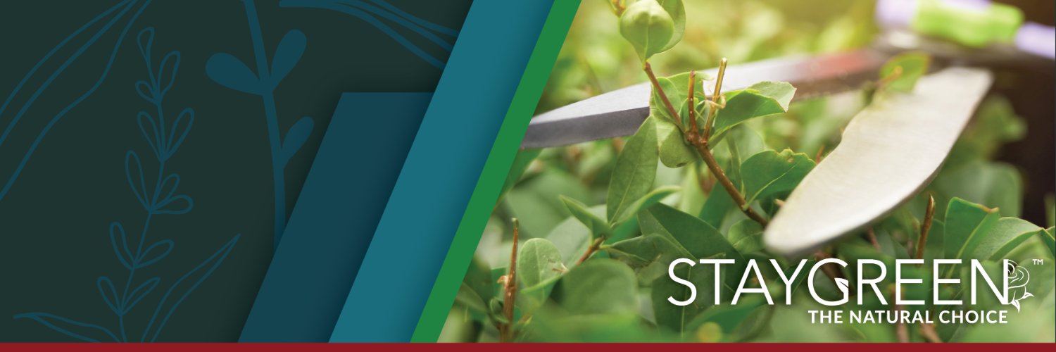 Stay Green banner