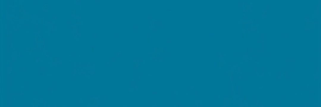 イカワ banner