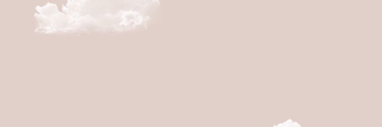annsdilla's profile banner image