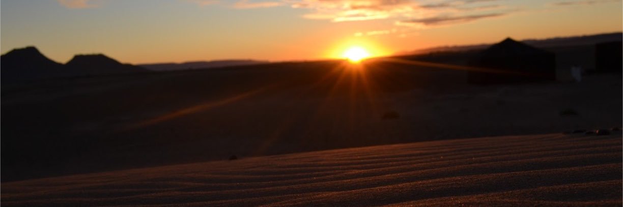 aleetxe's profile banner image