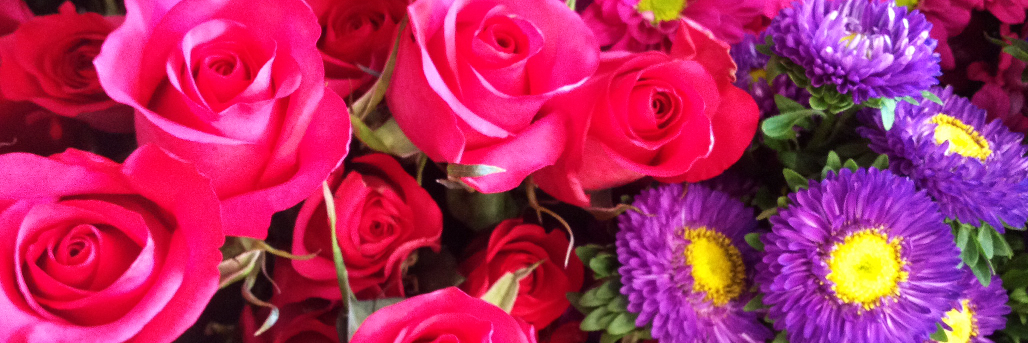 FlowersByJohnny's profile banner image
