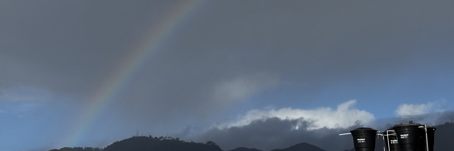 Mayli banner