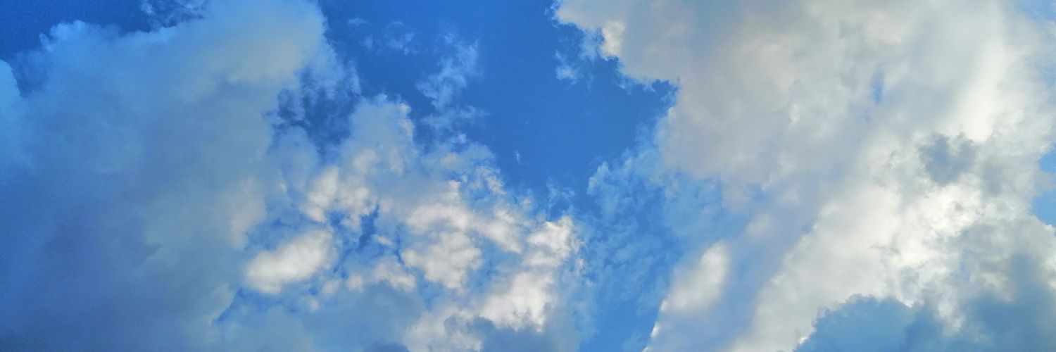 umbrelilla's profile banner image