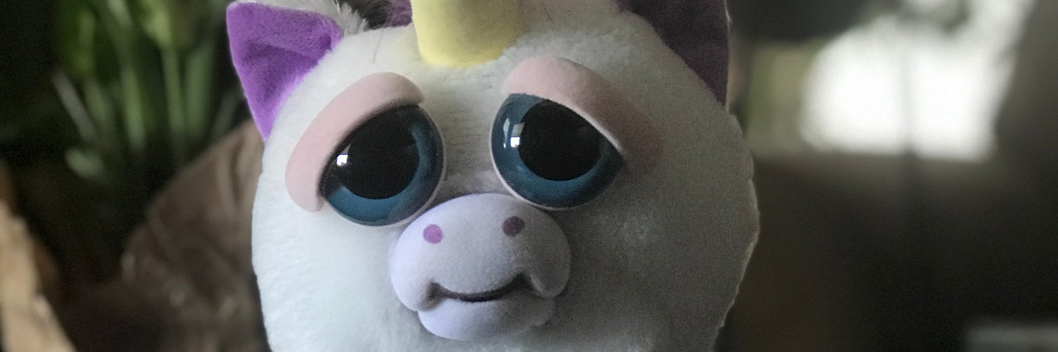 julianas's profile banner image