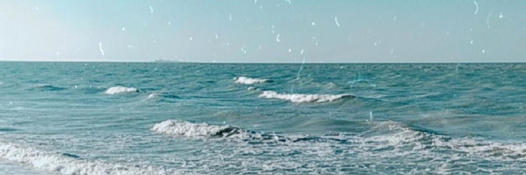 DaniPinzon22's profile banner image