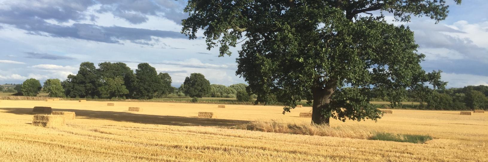 Philip Robinson banner