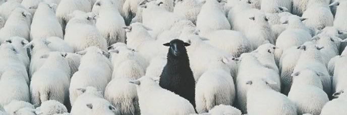 DiscreetFreak1's profile banner image