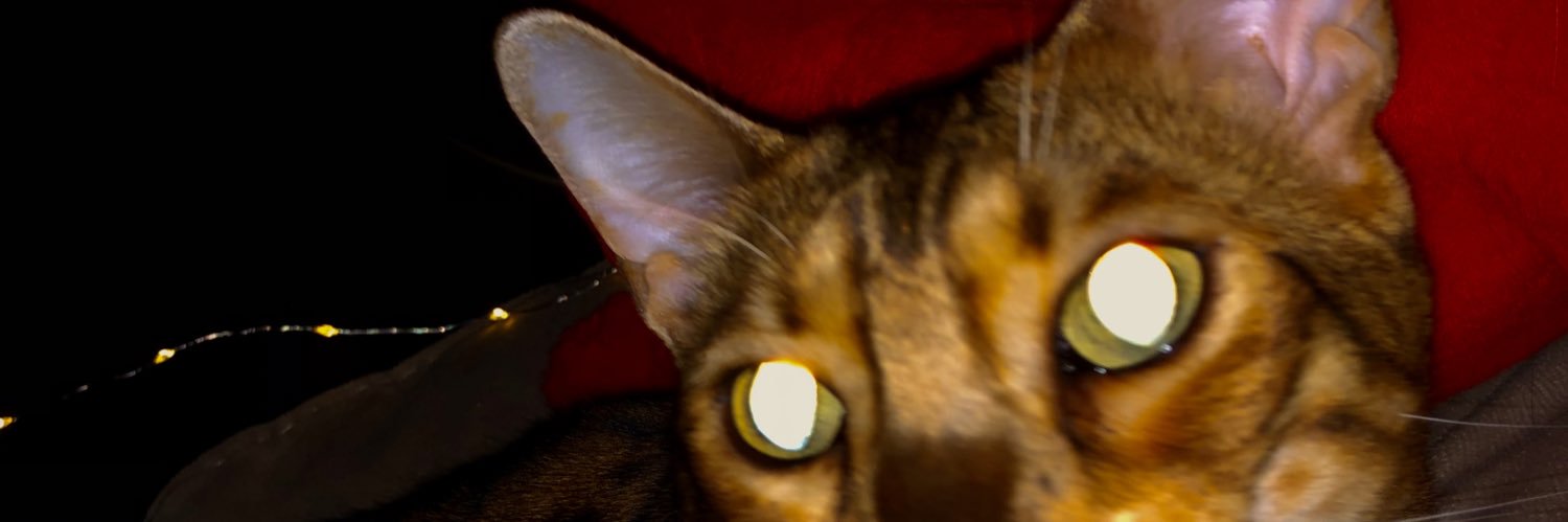 Yanot Studio | GameDev banner