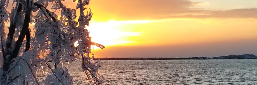 William E Burleson banner