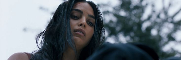 Samantha Carpenter banner