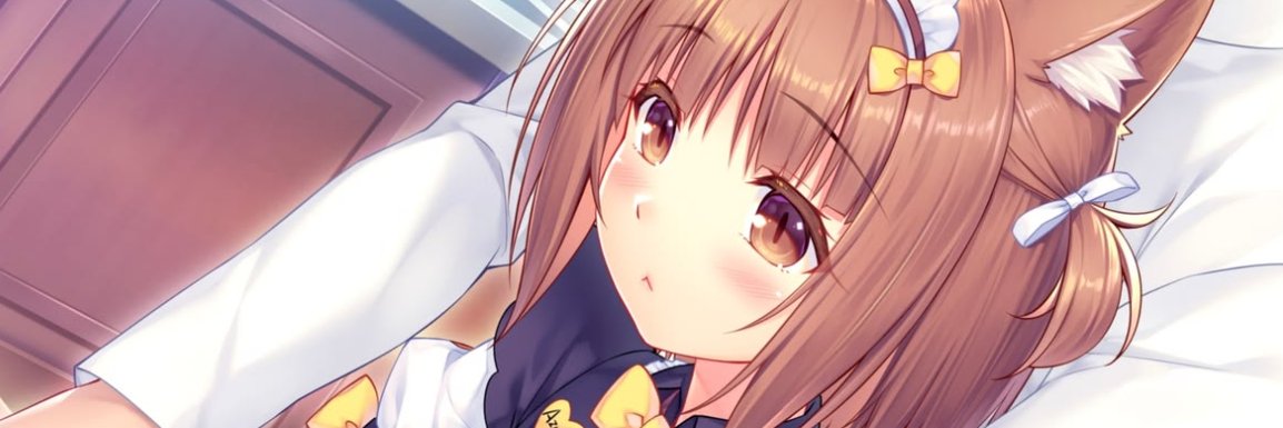 kitty banner