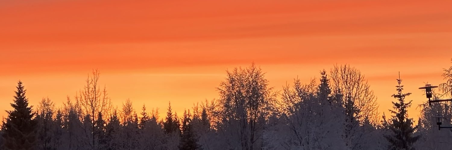 Ray.T168 🇸🇬 banner