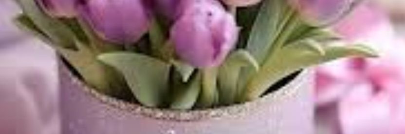 sami59080825's profile banner image