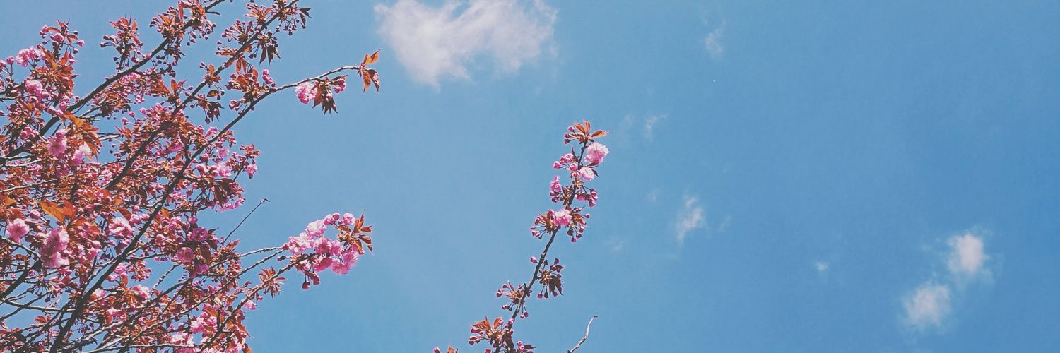 FitKate's profile banner image