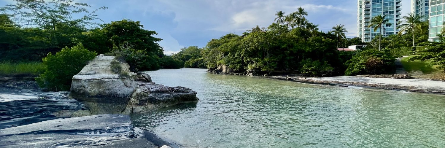 Fernando Royo banner